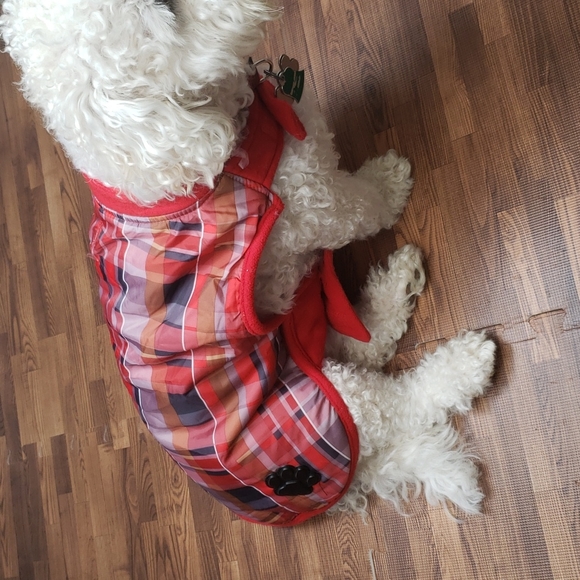Bailey & Bella doggy Coat size S/M - Picture 5 of 13